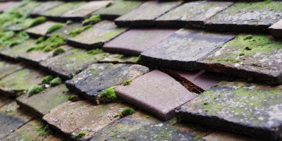 Maenaddfwyn roof repair costs